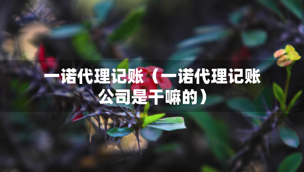 一諾代理記賬（一諾代理記賬公司是干嘛的）