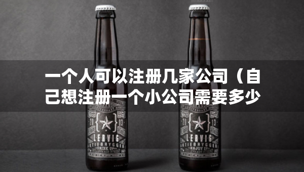 一個(gè)人可以注冊(cè)幾家公司（自己想注冊(cè)一個(gè)小公司需要多少錢(qián)）