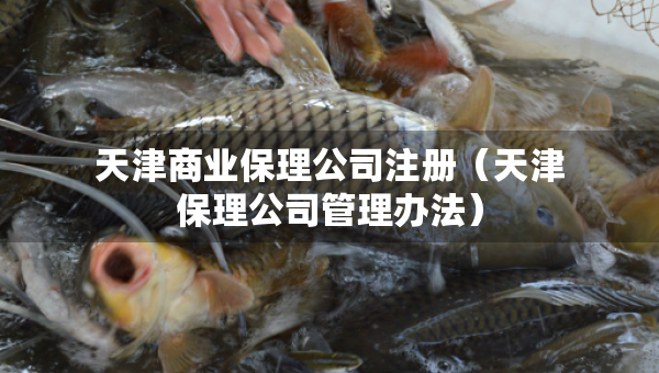 天津商業(yè)保理公司注冊(cè)（天津保理公司管理辦法）