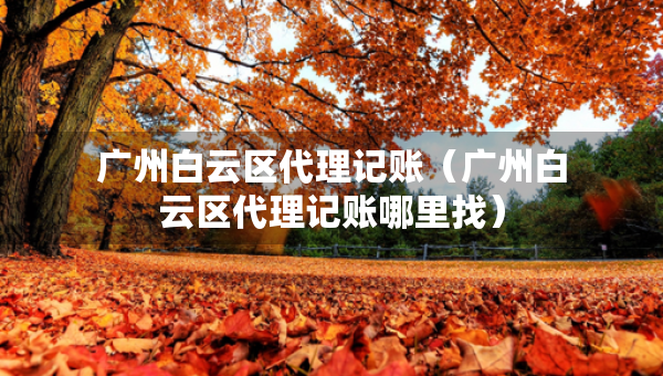 廣州白云區(qū)代理記賬（廣州白云區(qū)代理記賬哪里找）