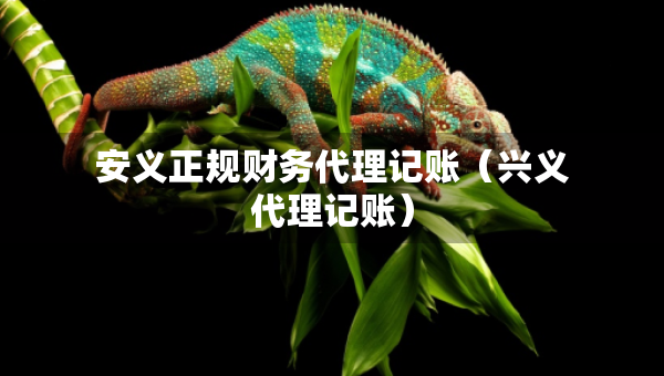 安義正規(guī)財(cái)務(wù)代理記賬（興義代理記賬）