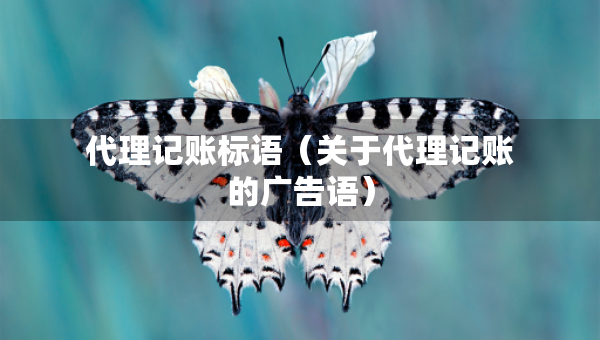 代理記賬標(biāo)語（關(guān)于代理記賬的廣告語）