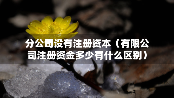 分公司沒有注冊資本（有限公司注冊資金多少有什么區(qū)別）