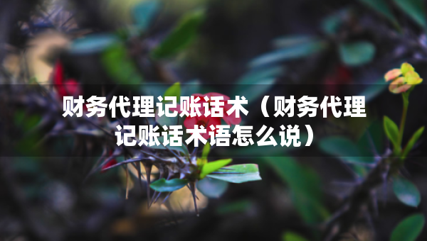 財(cái)務(wù)代理記賬話術(shù)（財(cái)務(wù)代理記賬話術(shù)語(yǔ)怎么說(shuō)）