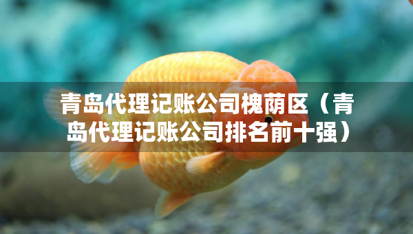 青島代理記賬公司槐蔭區(qū)（青島代理記賬公司排名前十強(qiáng)）