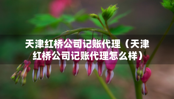天津紅橋公司記賬代理（天津紅橋公司記賬代理怎么樣）