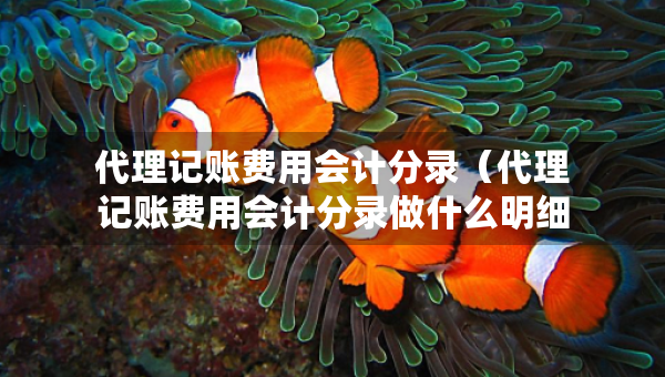 代理記賬費(fèi)用會(huì)計(jì)分錄（代理記賬費(fèi)用會(huì)計(jì)分錄做什么明細(xì)科目）
