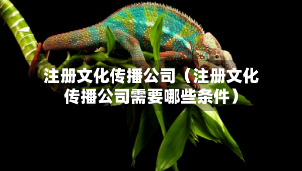 注冊(cè)文化傳播公司（注冊(cè)文化傳播公司需要哪些條件）