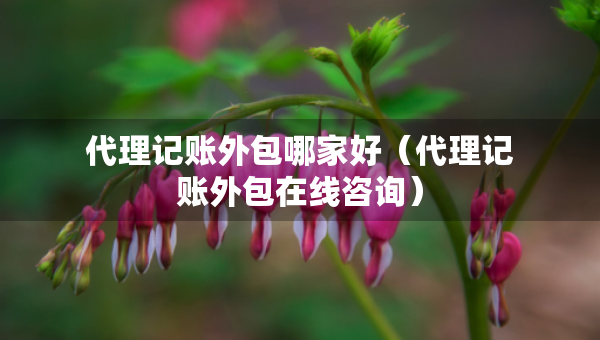 代理記賬外包哪家好（代理記賬外包在線咨詢）