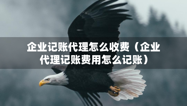 企業(yè)記賬代理怎么收費（企業(yè)代理記賬費用怎么記賬）
