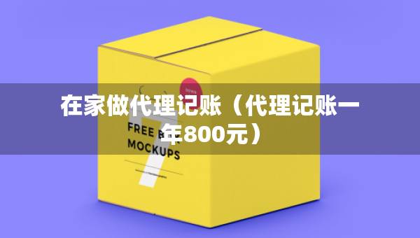在家做代理記賬（代理記賬一年800元）