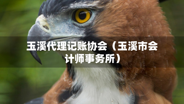 玉溪代理記賬協(xié)會（玉溪市會計師事務所）