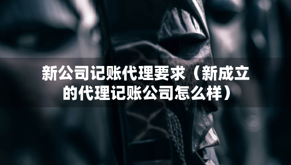 新公司記賬代理要求（新成立的代理記賬公司怎么樣）