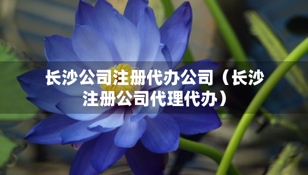 長沙公司注冊代辦公司（長沙注冊公司代理代辦）
