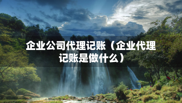 企業(yè)公司代理記賬（企業(yè)代理記賬是做什么）