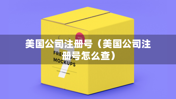 美國(guó)公司注冊(cè)號(hào)（美國(guó)公司注冊(cè)號(hào)怎么查）