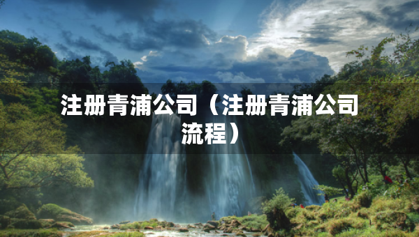 注冊(cè)青浦公司（注冊(cè)青浦公司流程）