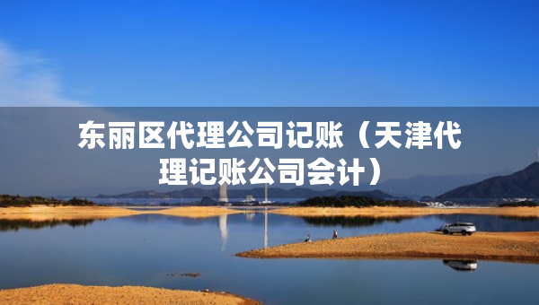 東麗區(qū)代理公司記賬（天津代理記賬公司會計）