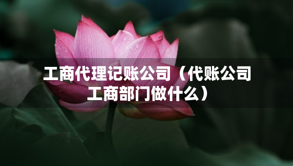 工商代理記賬公司（代賬公司工商部門做什么）