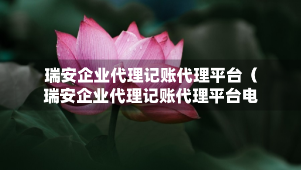 瑞安企業(yè)代理記賬代理平臺（瑞安企業(yè)代理記賬代理平臺電話）