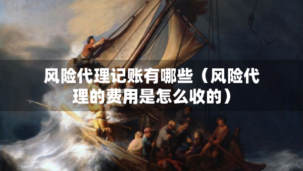 風(fēng)險(xiǎn)代理記賬有哪些（風(fēng)險(xiǎn)代理的費(fèi)用是怎么收的）