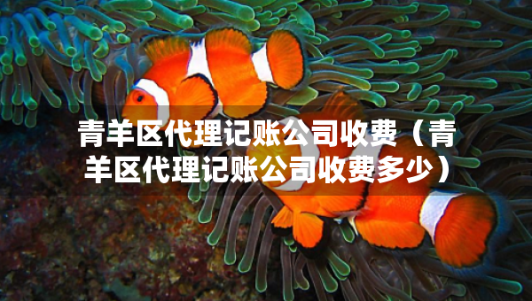 青羊區(qū)代理記賬公司收費(fèi)（青羊區(qū)代理記賬公司收費(fèi)多少）