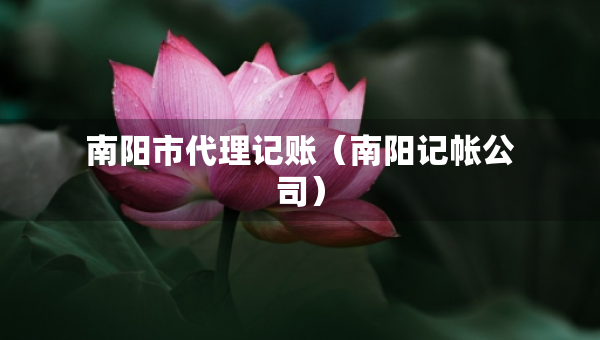 南陽市代理記賬（南陽記帳公司）