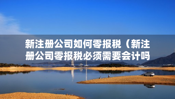 新注冊公司如何零報稅（新注冊公司零報稅必須需要會計嗎）