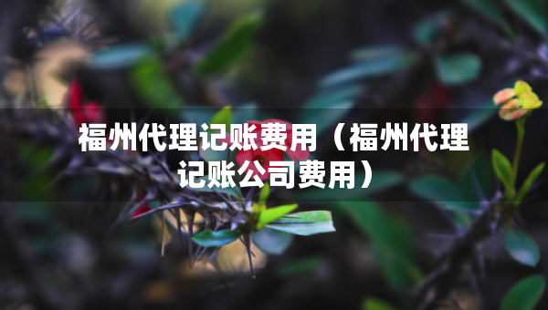 福州代理記賬費用（福州代理記賬公司費用）