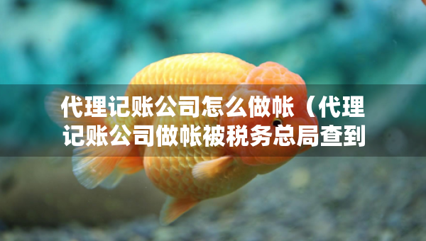 代理記賬公司怎么做帳（代理記賬公司做帳被稅務(wù)總局查到）