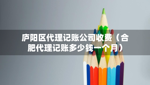 廬陽(yáng)區(qū)代理記賬公司收費(fèi)（合肥代理記賬多少錢一個(gè)月）