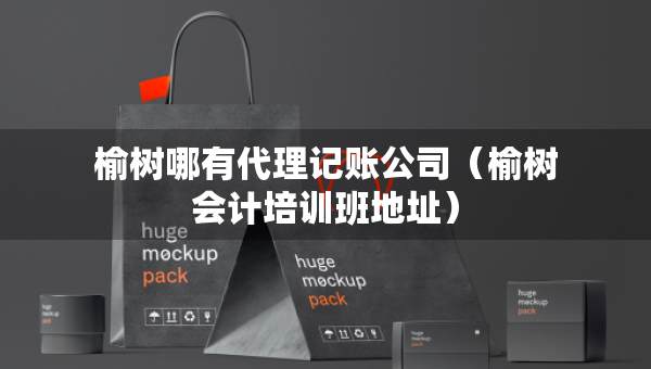 榆樹(shù)哪有代理記賬公司（榆樹(shù)會(huì)計(jì)培訓(xùn)班地址）