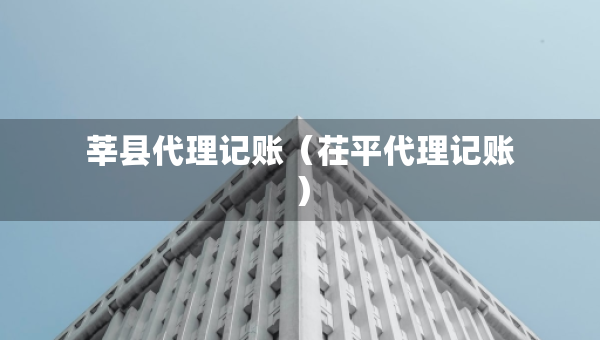 莘縣代理記賬（茌平代理記賬）