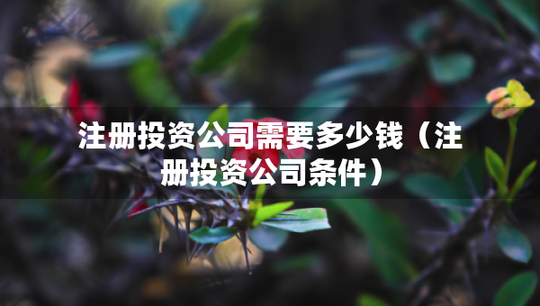 注冊投資公司需要多少錢（注冊投資公司條件）