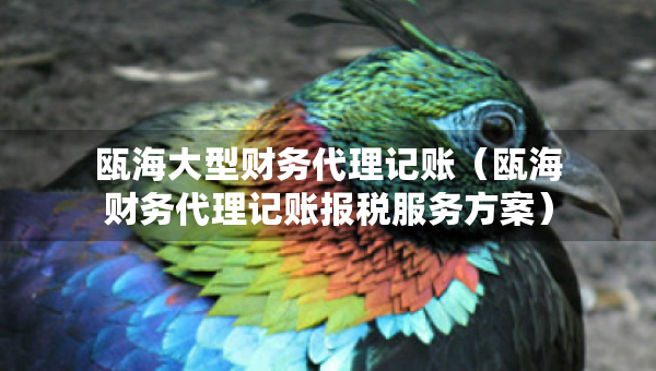 甌海大型財(cái)務(wù)代理記賬（甌海財(cái)務(wù)代理記賬報(bào)稅服務(wù)方案）