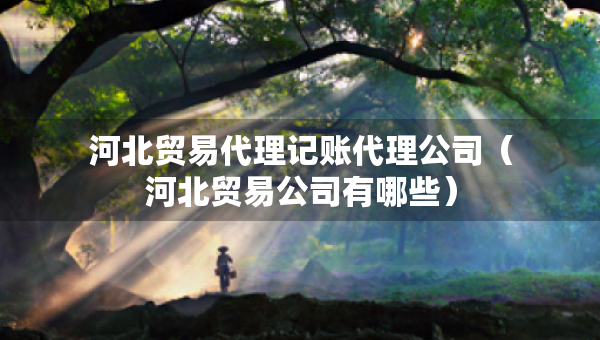 河北貿(mào)易代理記賬代理公司（河北貿(mào)易公司有哪些）