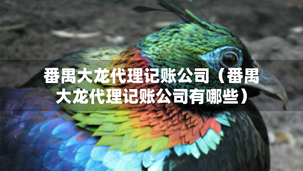 番禺大龍代理記賬公司（番禺大龍代理記賬公司有哪些）