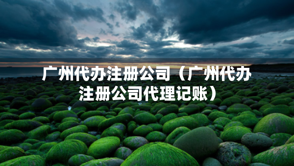 廣州代辦注冊公司（廣州代辦注冊公司代理記賬）