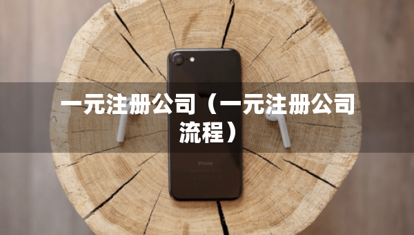 一元注冊公司（一元注冊公司流程）