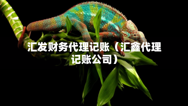匯發(fā)財務代理記賬（匯鑫代理記賬公司）