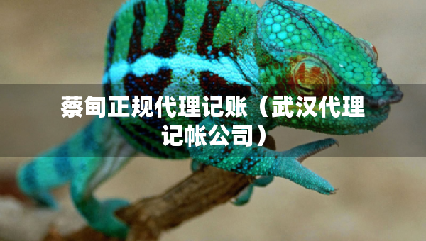 蔡甸正規(guī)代理記賬（武漢代理記帳公司）