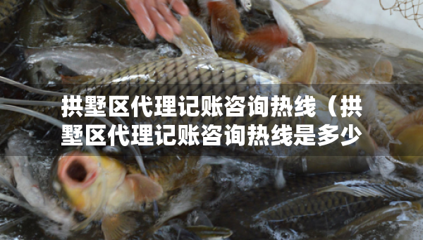 拱墅區(qū)代理記賬咨詢熱線（拱墅區(qū)代理記賬咨詢熱線是多少）