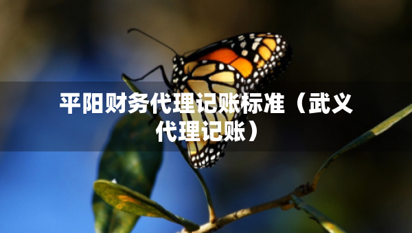 平陽(yáng)財(cái)務(wù)代理記賬標(biāo)準(zhǔn)（武義代理記賬）