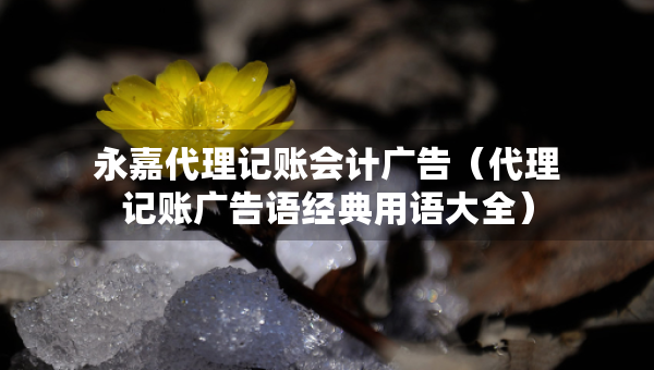 永嘉代理記賬會計廣告（代理記賬廣告語經(jīng)典用語大全）