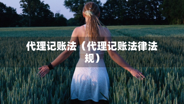 代理記賬法（代理記賬法律法規(guī)）