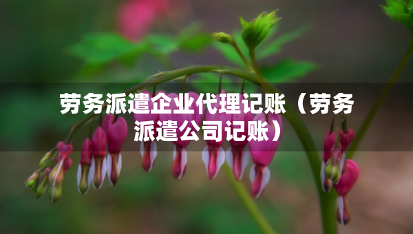 勞務(wù)派遣企業(yè)代理記賬（勞務(wù)派遣公司記賬）