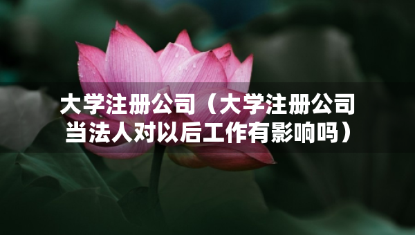 大學注冊公司（大學注冊公司當法人對以后工作有影響嗎）
