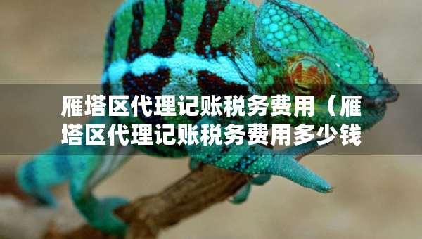 雁塔區(qū)代理記賬稅務(wù)費(fèi)用（雁塔區(qū)代理記賬稅務(wù)費(fèi)用多少錢）
