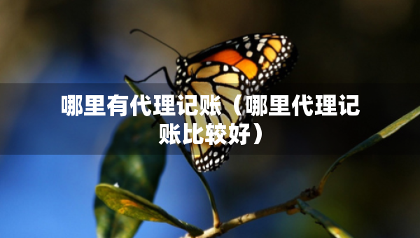 哪里有代理記賬（哪里代理記賬比較好）