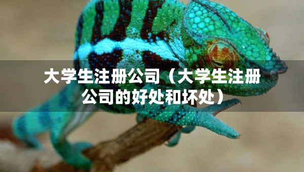 大學(xué)生注冊(cè)公司（大學(xué)生注冊(cè)公司的好處和壞處）